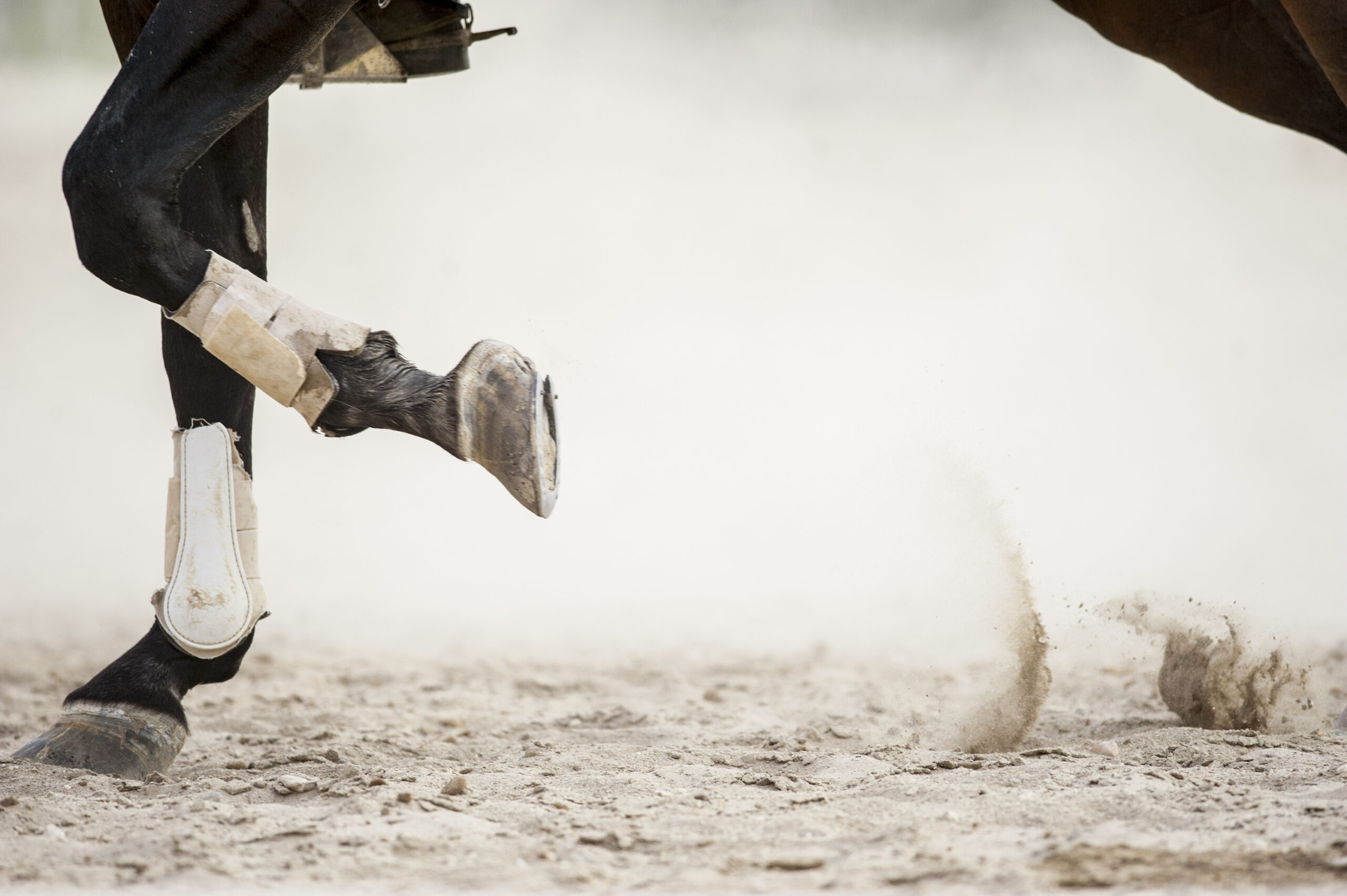 Paard veroorzaakt schade aan inventaris dierenartsenpraktijk tijdens keuring, wie is aansprakelijk voor deze schade? 2025
